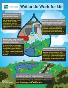 Wetland Water Sources Image